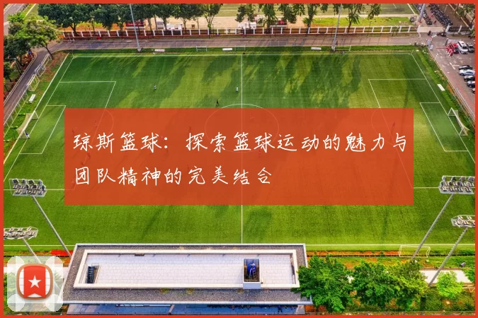 琼斯篮球：探索篮球运动的魅力与团队精神的完美结合