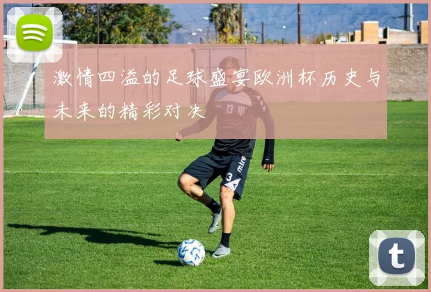 激情四溢的足球盛宴欧洲杯历史与未来的精彩对决