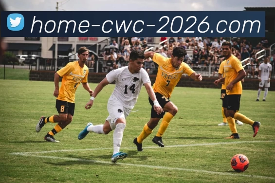 2026世界杯平台生态图